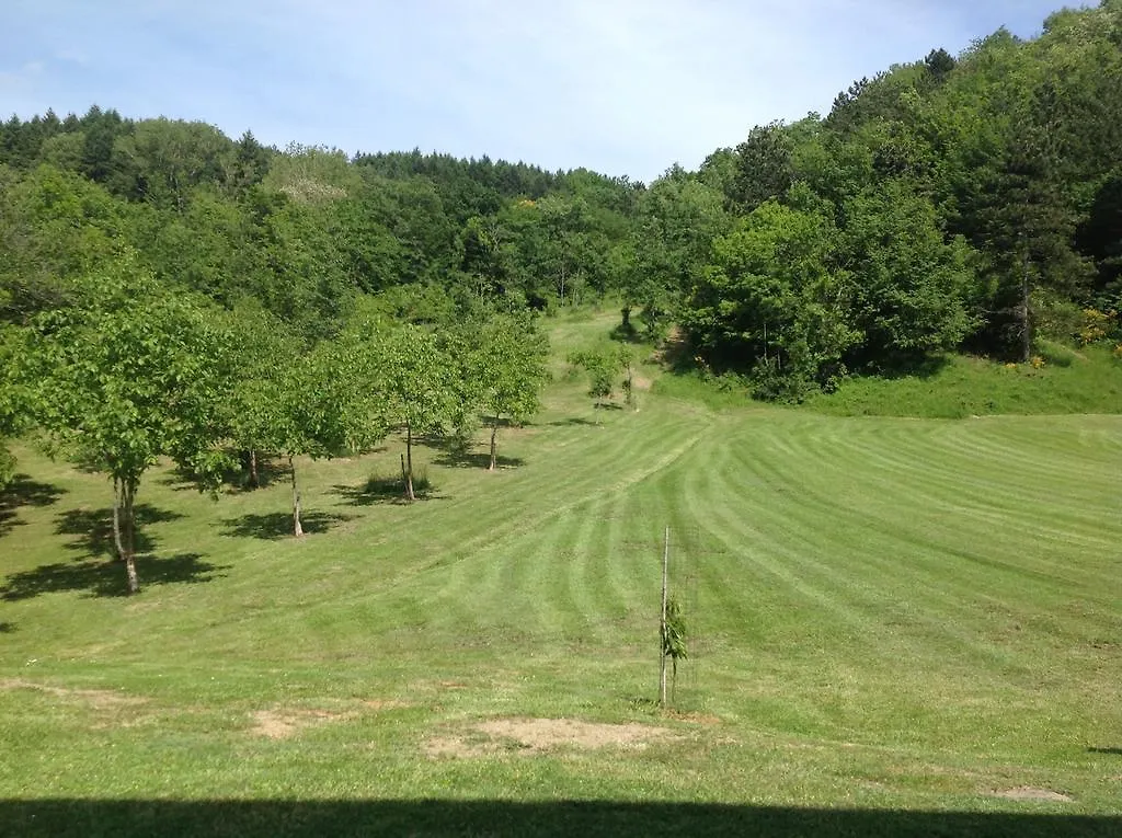 Agriturismo La Casa Bianca Villa Poppi Farm stay